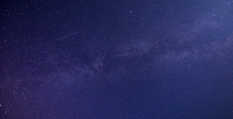 Galaxy Garden